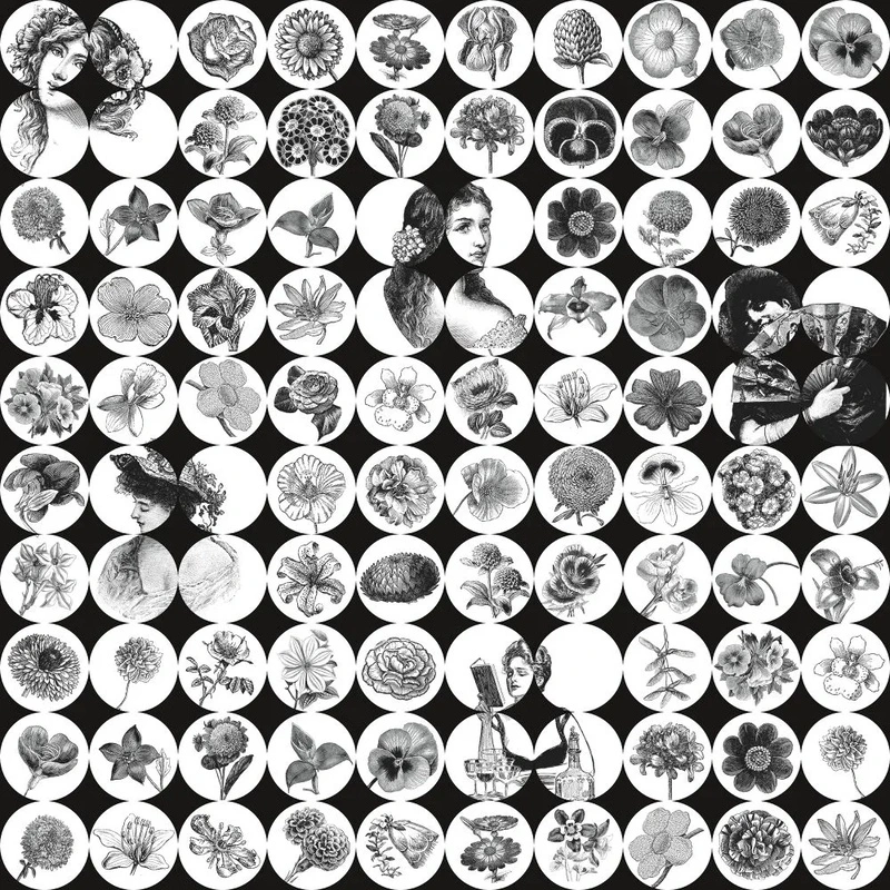 Фотообои и фрески на стену - в детскую комнату, цветы, лица девушек, черно-белые