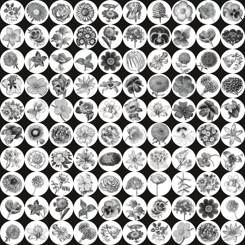 Фотообои и фрески на стену - в ванную комнату, мозаика, цветы, черно-белая