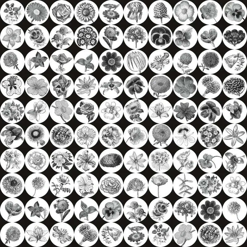 Фотообои и фрески на стену - в ванную комнату, мозаика, цветы, черно-белая