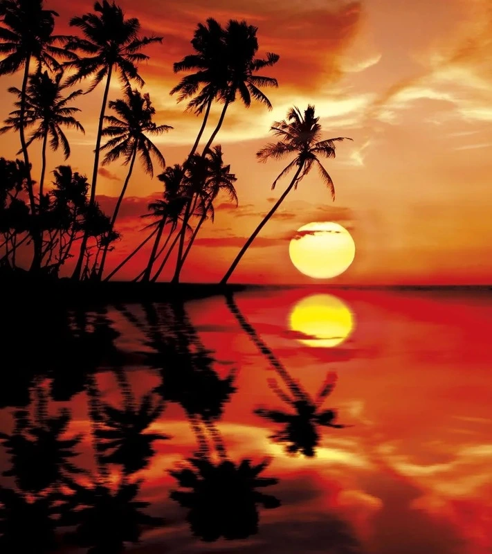 Фотообои и фрески на стену - пейзаж, морской, закат, пальмы, море, красная