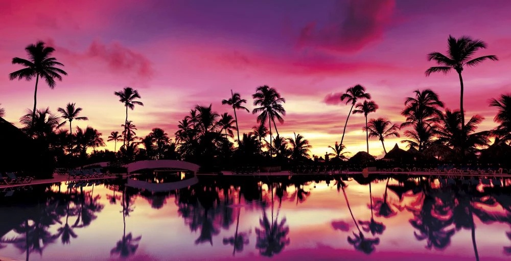 Фотообои на стену - пейзаж, море, пальмы, закат, фиолетовая, фуксия