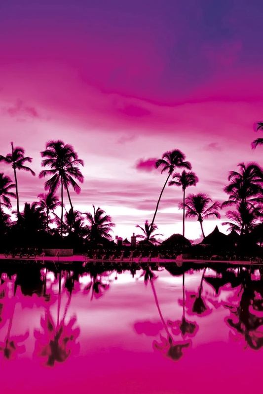 Фотообои и фрески на стену - пейзаж, закат, море, пальмы, фуксия, розовая