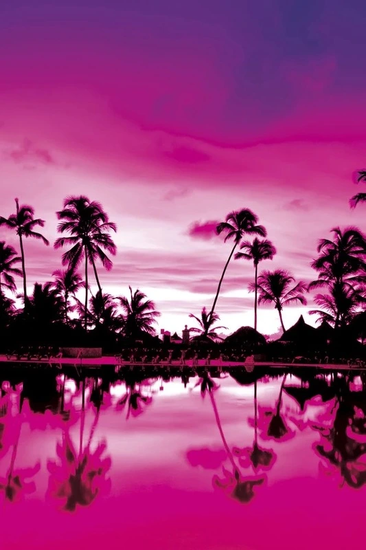 Фотообои и фрески на стену - пейзаж, закат, море, пальмы, фуксия, розовая