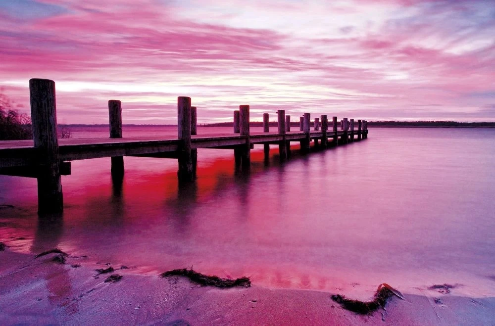 Фотообои и фрески на стену - пейзаж, закат, море, сиреневая, розовая