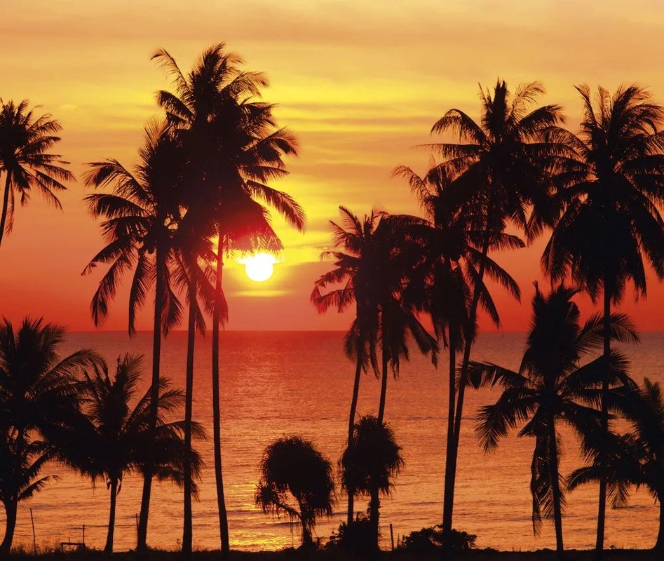 Фотообои на стену - пейзаж, закат, море, пальмы, оранжевая, красная
