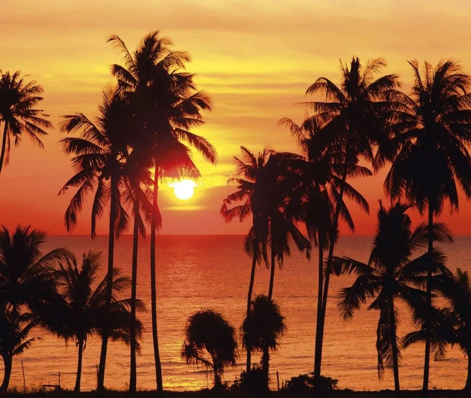Фотообои и фрески на стену - пейзаж, закат, море, пальмы, оранжевая, красная