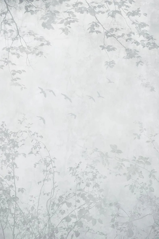 Фотообои и фрески на стену - графика, ветки, травы, трава в тумане, с травой, рисунок ветки, листья ветки, с ветками деревьев