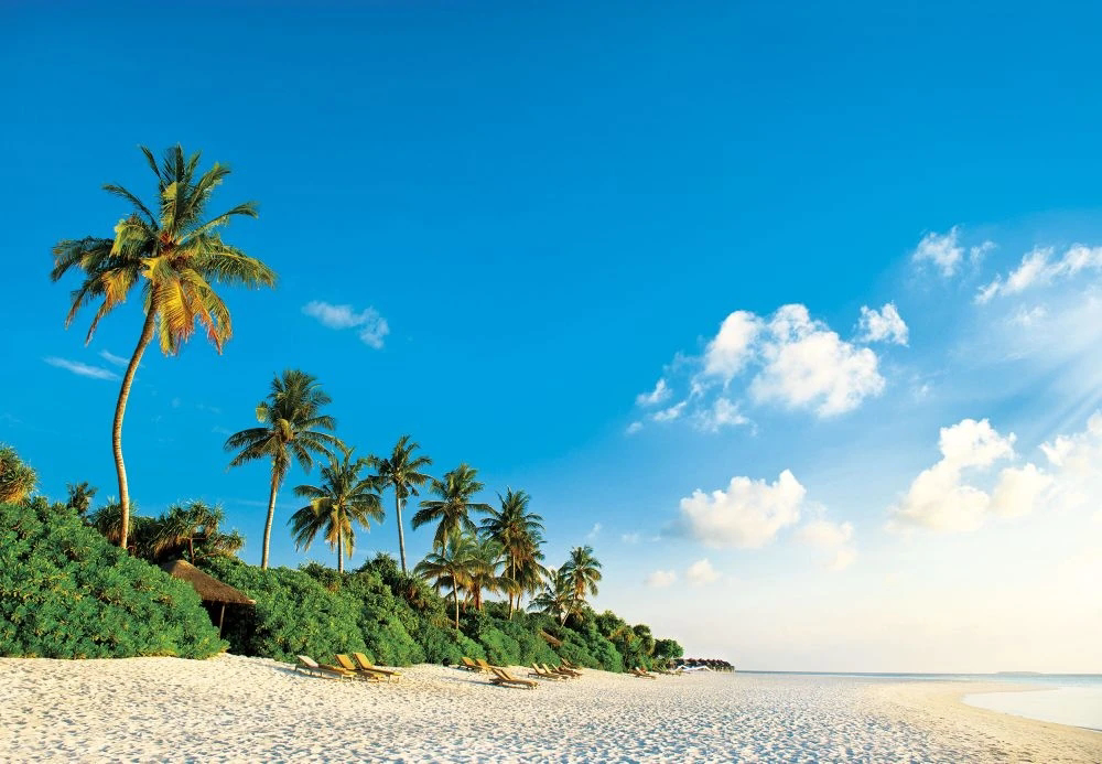 Фотообои и фрески на стену - пейзаж, морской, море, пальмы, песчаный берег