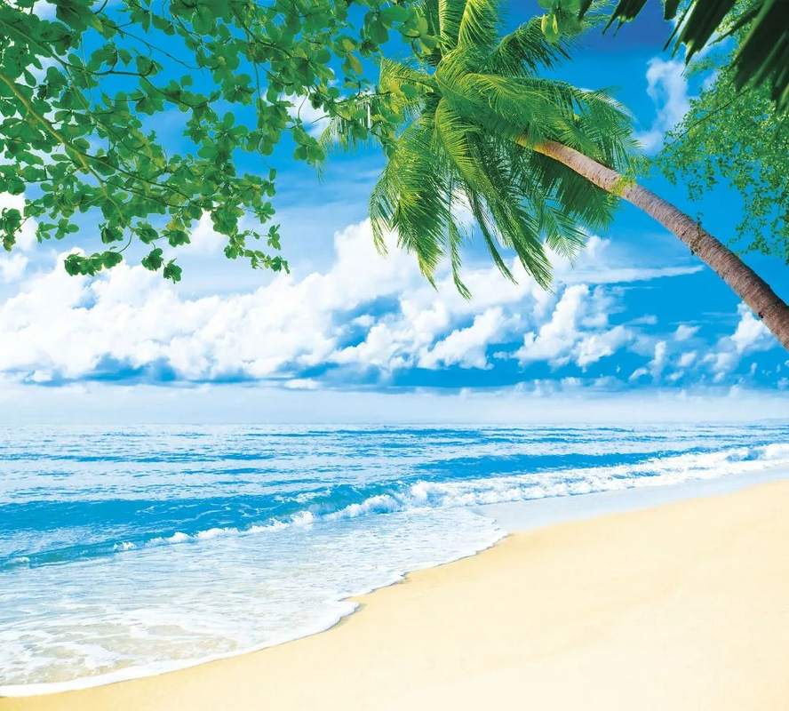 Фотообои на стену - пейзаж, морской, море, пальма, волны