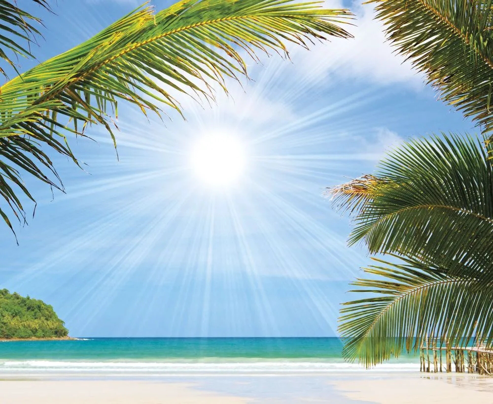 Фотообои и фрески на стену - пейзаж, морской, море, листья пальмы, солнце