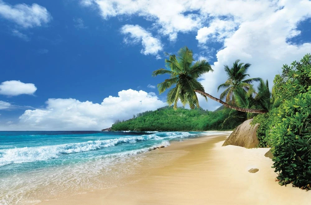 Фотообои на стену - пейзаж, морской, море, песок, пальмы, зеленая