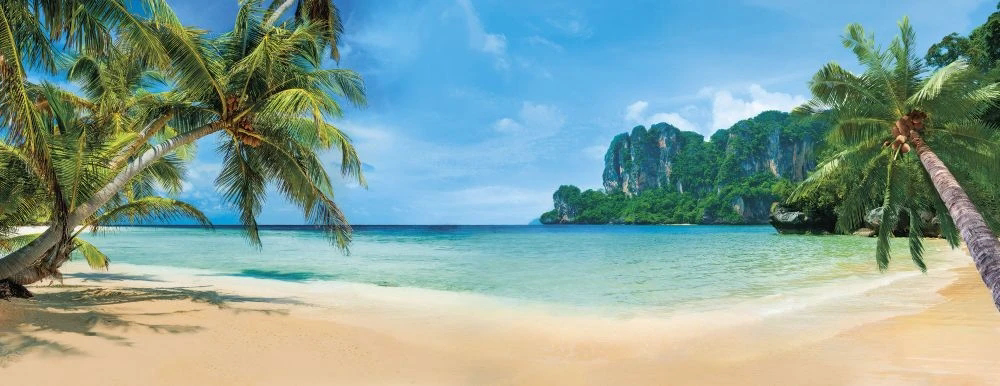 Фотообои на стену - пейзаж, морской, море, пальмы, лес