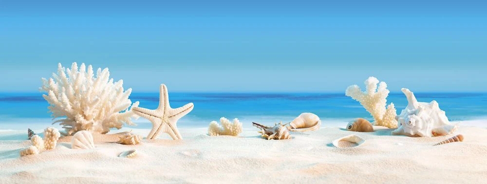 Фотообои и фрески на стену - пейзаж, морской, море, небо синее, раковины, звезды