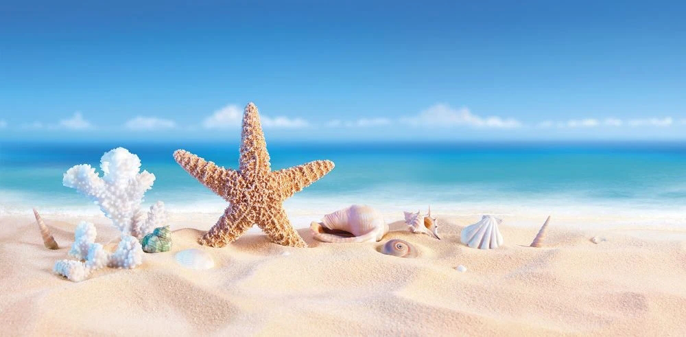 Фотообои и фрески на стену - пейзаж, морской, море, небо синее, песок, морская звезда
