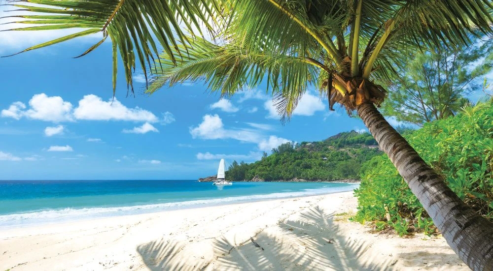 Фотообои и фрески на стену - пейзаж, морской, море, белый песок, пальма