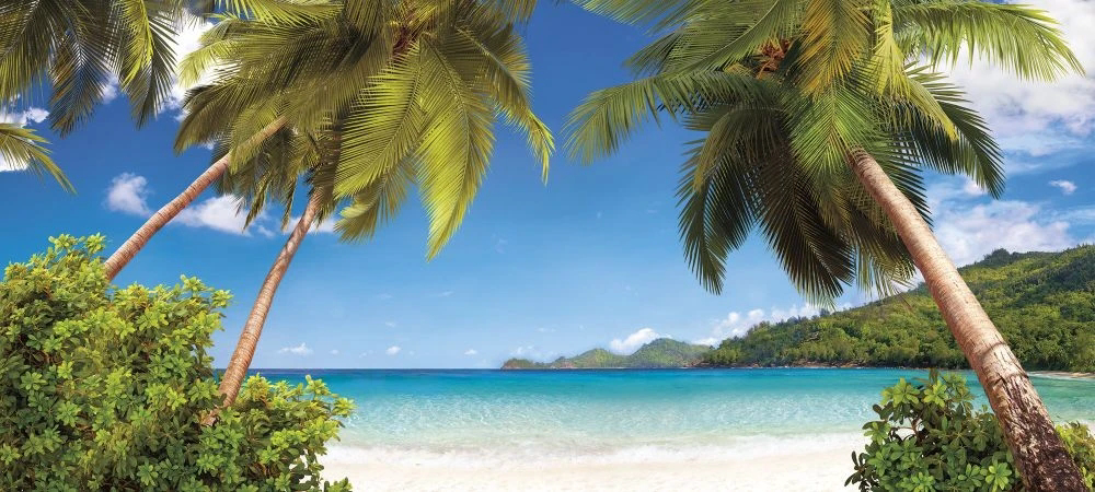 Фотообои на стену - пейзаж, морской, море, пальмы, небо