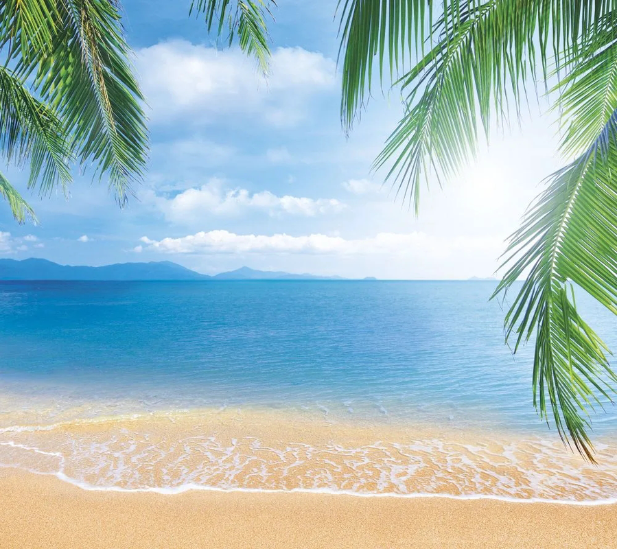 Фотообои и фрески на стену - пейзаж, морской, море, песчаный берег, листья пальмы