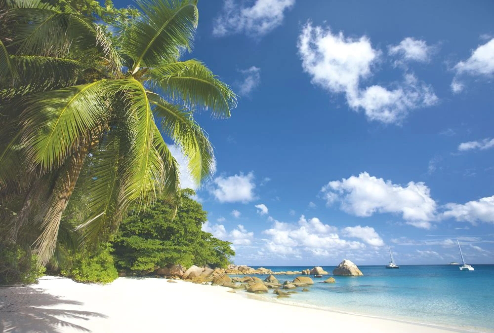 Фотообои и фрески на стену - пейзаж, морской, море, пальма, белый песок, облака