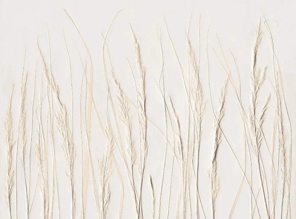 Фотообои на стену - 3д, графика, колосья, бежевые