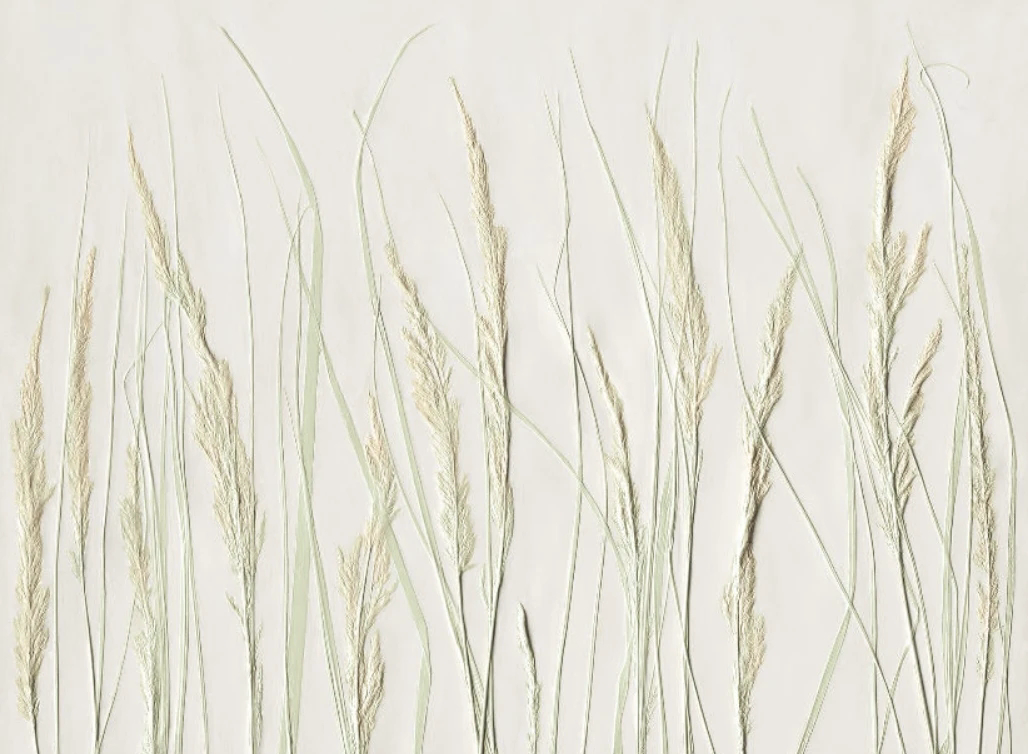 Фотообои и фрески на стену - 3д, графика, колосья, светло салатовая