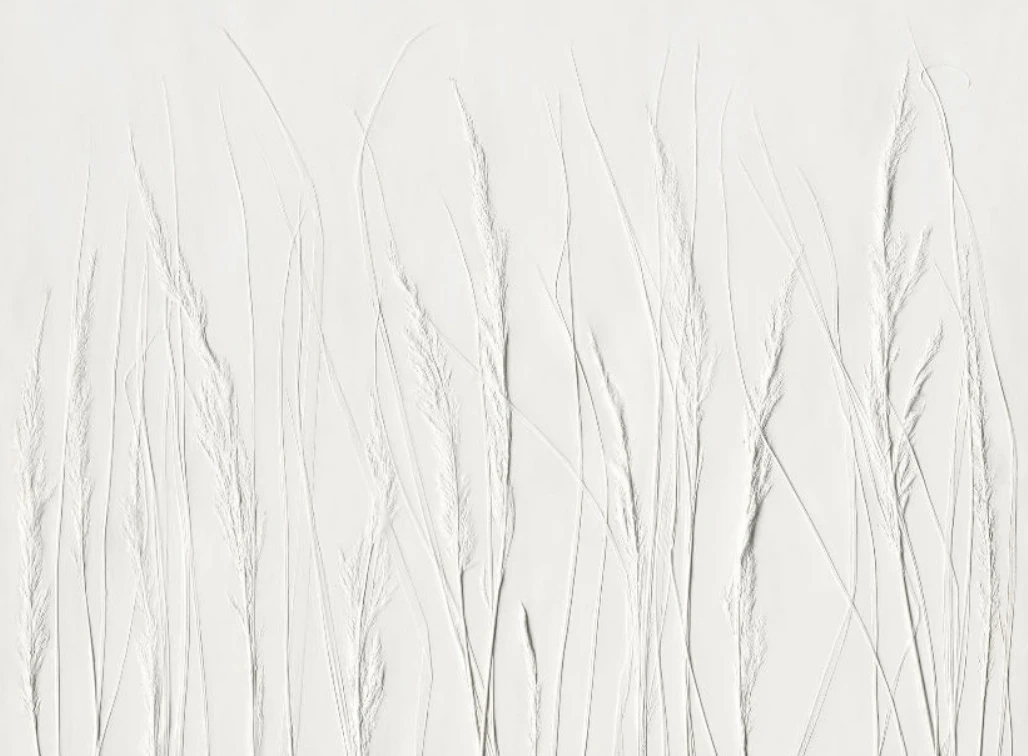 Фотообои и фрески на стену - 3д, графика, колосья, белые, светло серая