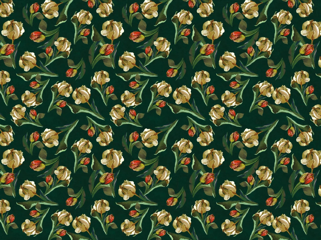 Фотообои и фрески на стену - цветы, тюльпаны, белые, на черном фоне