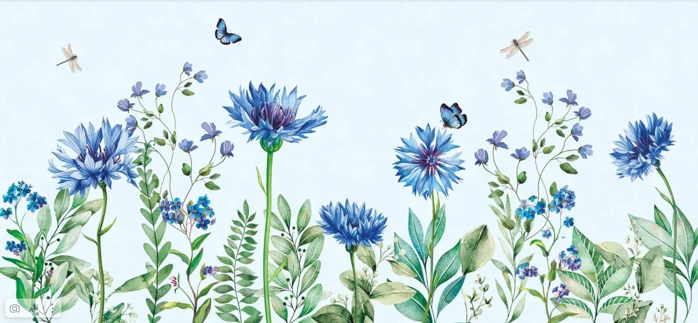 Фотообои на стену - цветы, васильки, на светло голубом фоне, горизонтальные