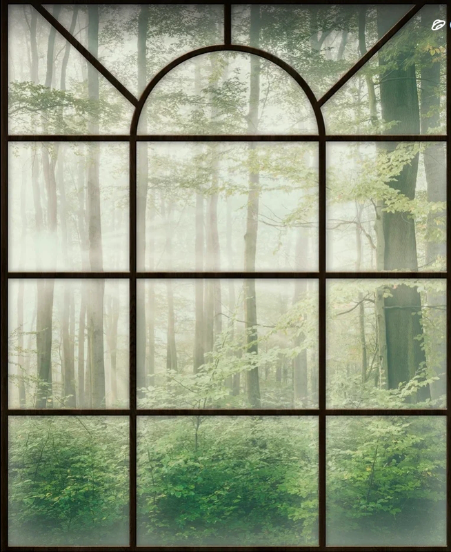 Фотообои на стену - пейзаж, окно, лес, стволы деревьев