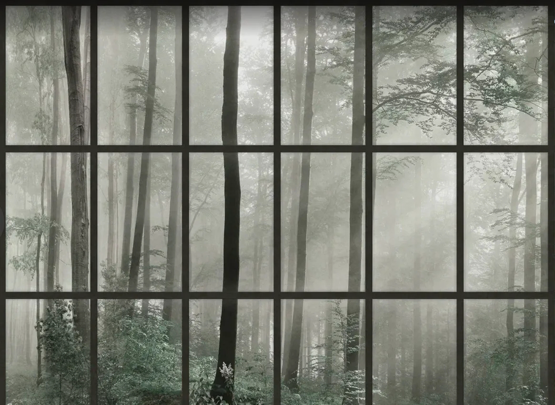 Фотообои на стену - пейзаж, окно, лес, в тумане