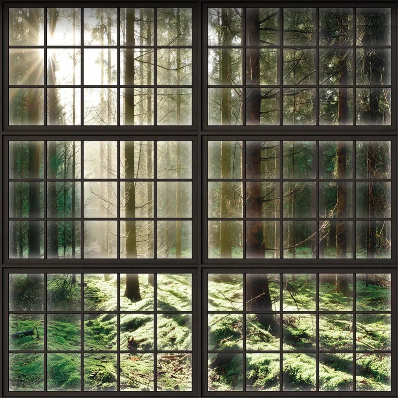 Фотообои на стену - пейзаж, окно, лес, лес в тумане, рассвет