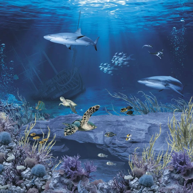 Фотообои и фрески на стену - в детскую комнату, подводный мир, акулы, рыбы, синяя