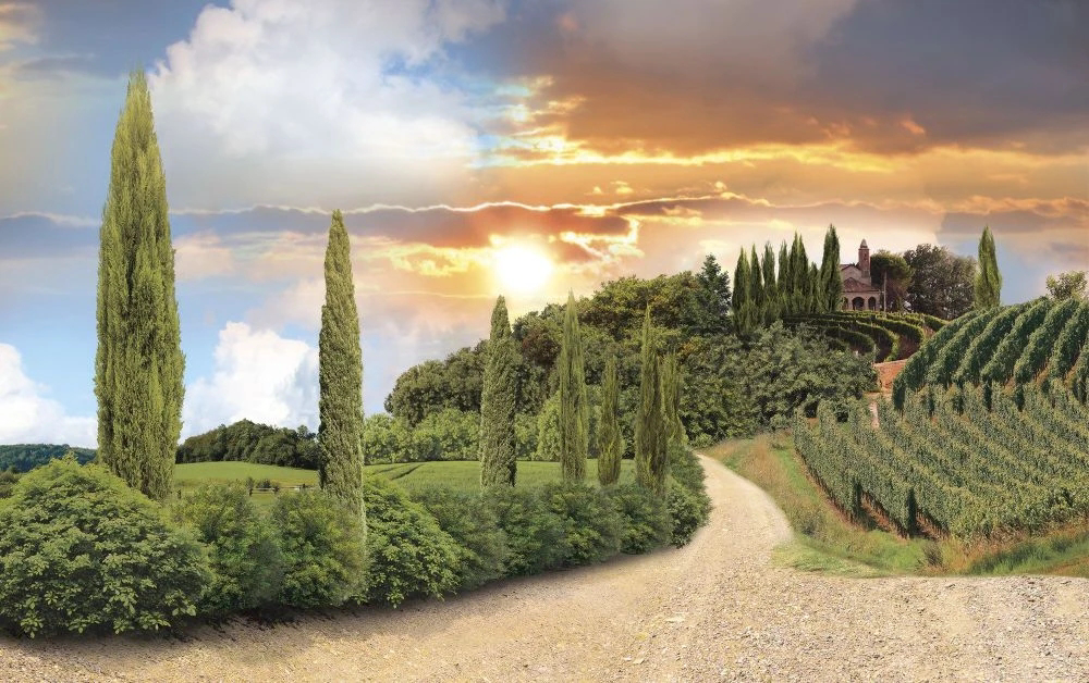 Фотообои и фрески на стену - пейзаж, итальянские, тоскана, закат, дорога