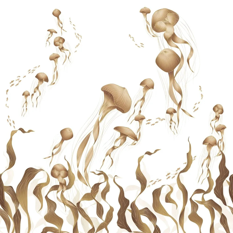 Фотообои и фрески на стену - в ванную комнату, медузы, бежевые