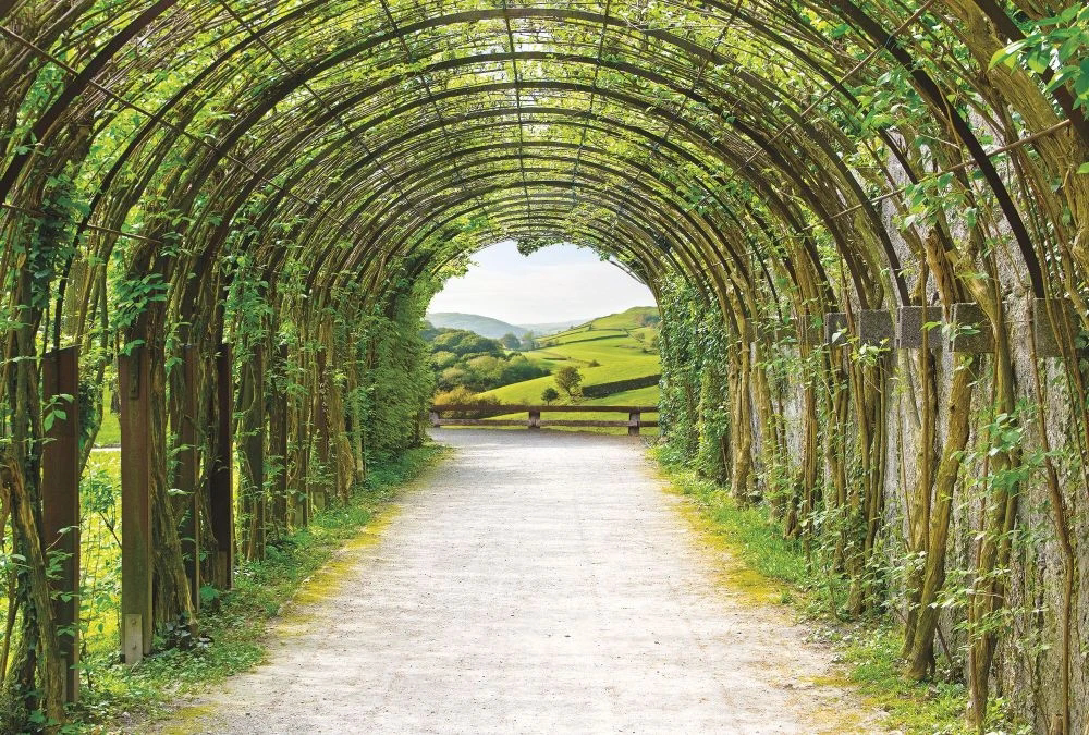 Фотообои на стену - в загородный дом, арки