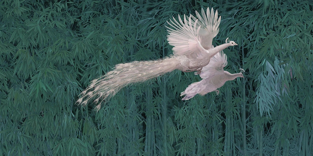 Фотообои и фрески на стену - пейзаж, ярко зеленая, павлины, белые