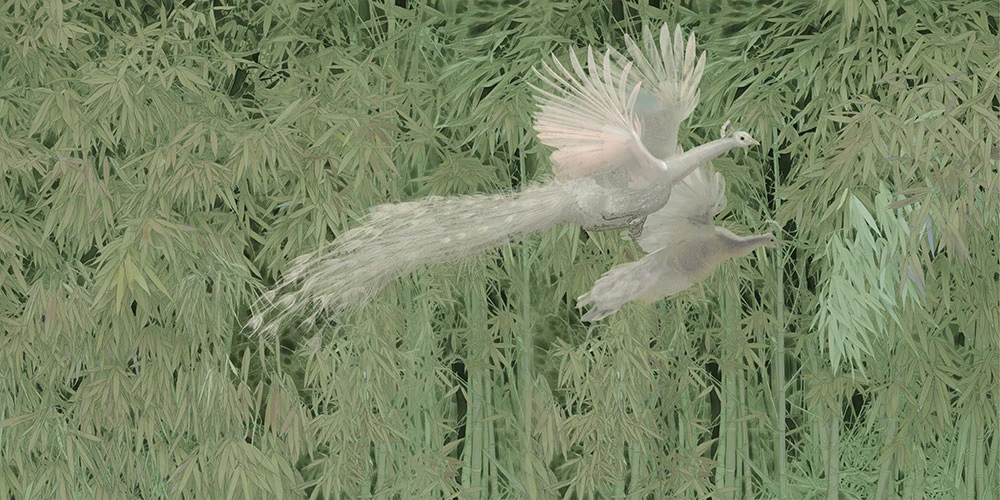 Фотообои и фрески на стену - пейзаж, желто-зеленая, павлины, белые