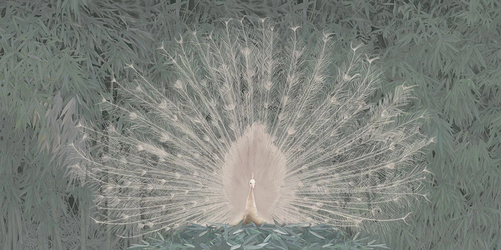 Фотообои и фрески на стену - пейзаж, серо-зеленая, павлин, белый