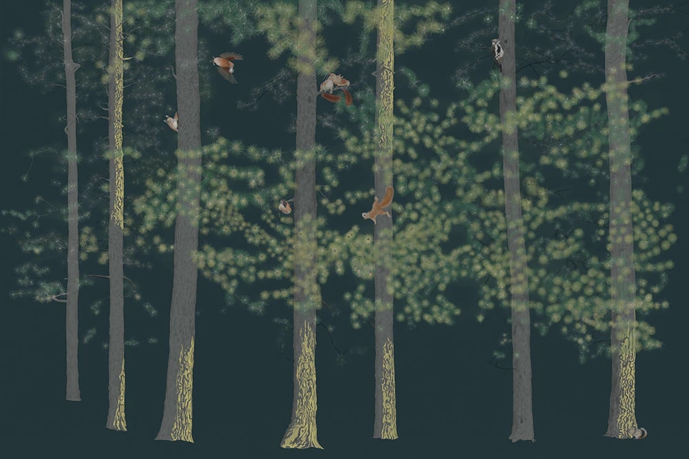 Фотообои и фрески на стену - пейзаж, березы, ветки, на темном фоне