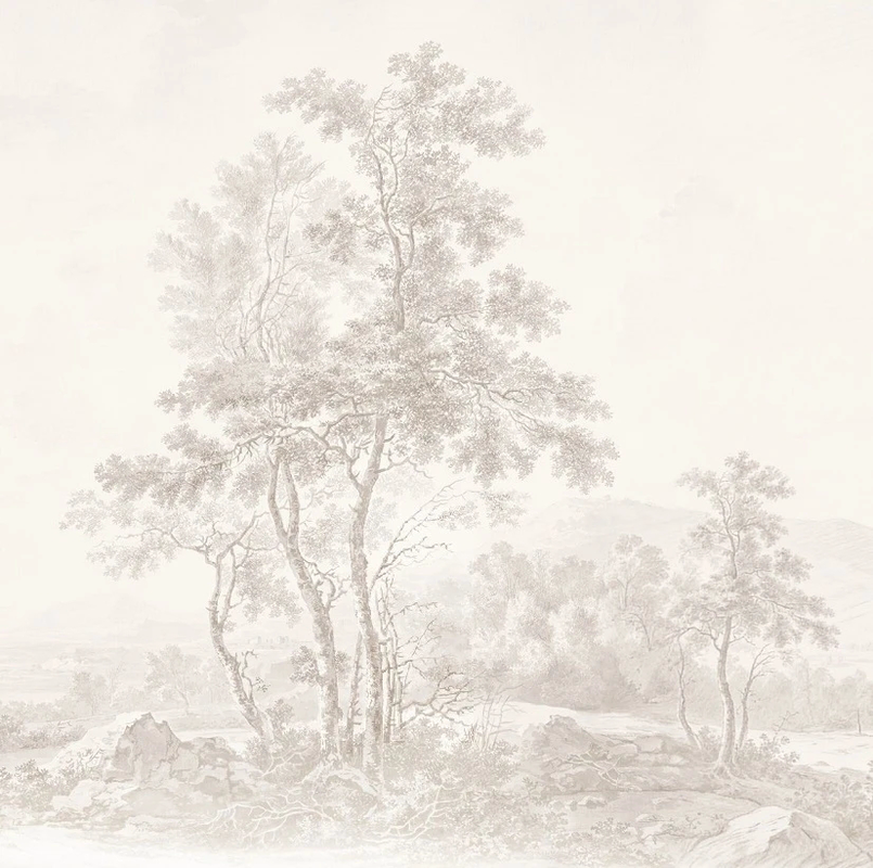 Фотообои на стену - пейзаж, графика, бежевые, лес, деревья, дерево на стену, деревья в тумане, деревья сепия, на стену пейзаж, красивый пейзаж