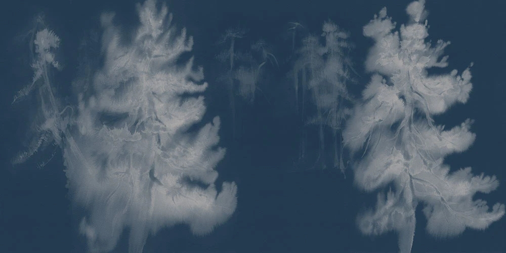 Фотообои на стену - пейзаж, ели, темно синяя