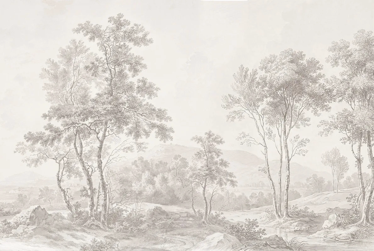 Фотообои на стену - пейзаж, бежевые, лес, деревья, дерево на стену, деревья в тумане, обои деревья, лес бежевые, серый лес