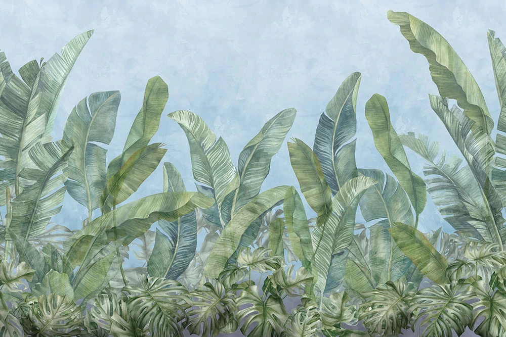 Фотообои на стену - пейзаж, листья тропические, банановые листья, зеленая