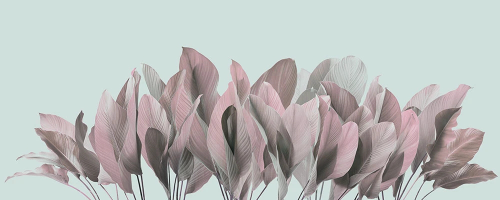 Фотообои и фрески на стену - пейзаж, листья тропические, на голубом фоне, серо-розовая, на сером фоне