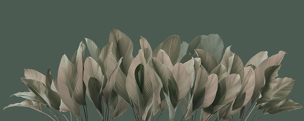 Фотообои и фрески на стену - пейзаж, листья тропические, темно розовая, на темно зеленом фоне