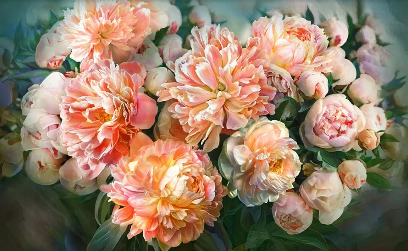 Фотообои на стену - пионы, цветы, крупные, ярко розовая, на темно зеленом фоне