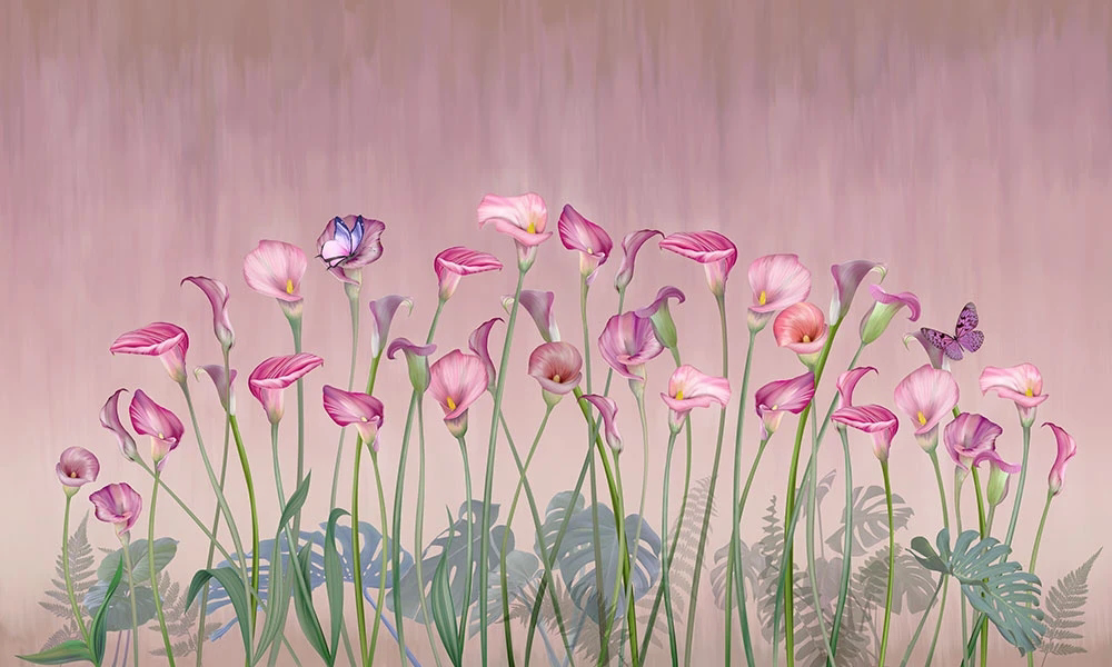 Фотообои и фрески на стену - цветы, каллы, розовая, на розовом фоне