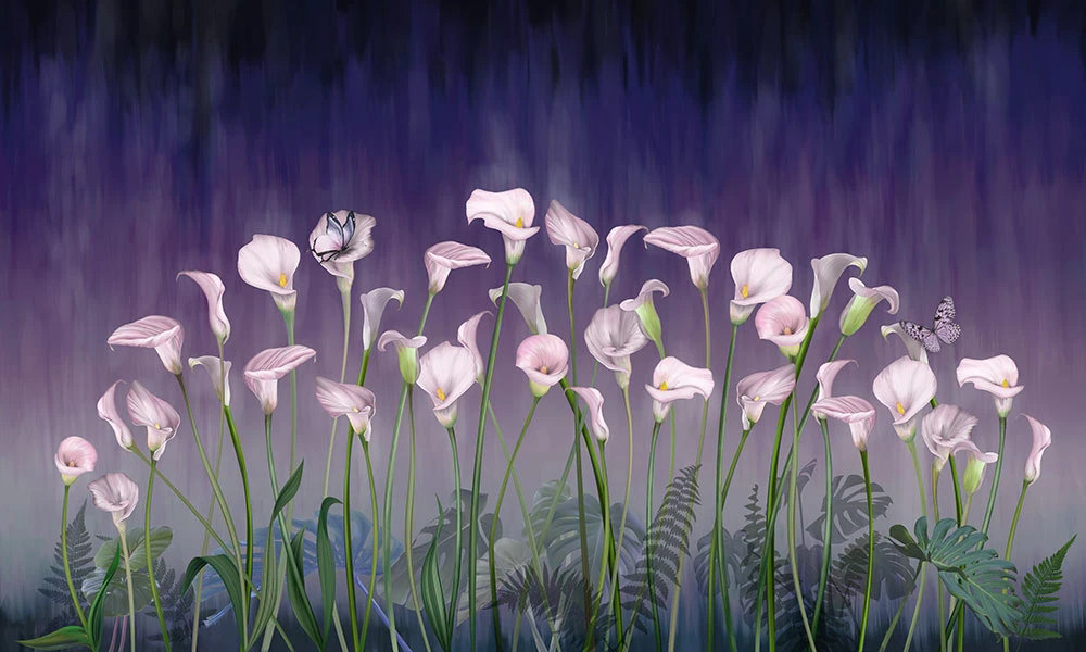 Фотообои и фрески на стену - цветы, каллы, сиреневая, на фиолетовом фоне