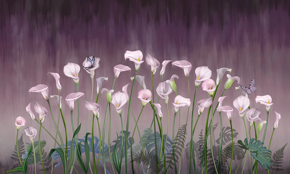 Фотообои и фрески на стену - цветы, каллы, сиреневая, на сиреневом фоне