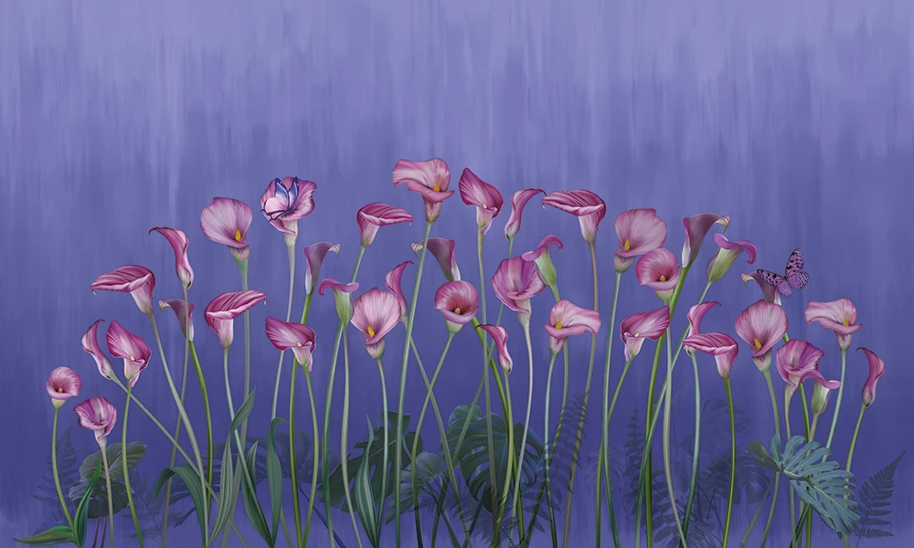 Фотообои на стену - цветы, каллы, розовые, на синем фоне