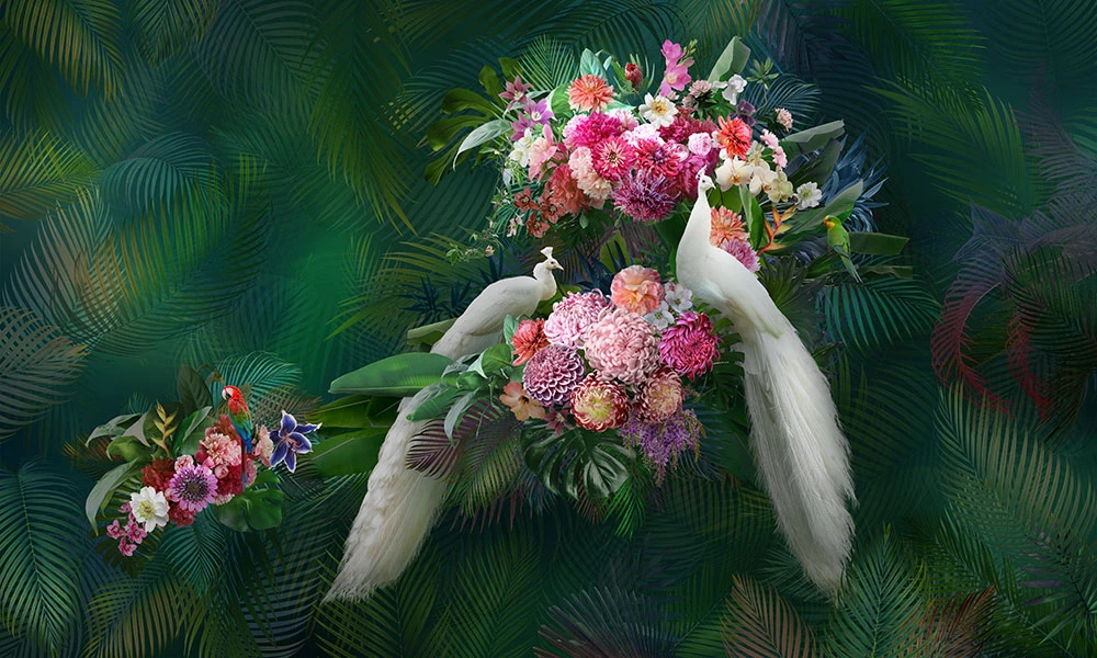 Фотообои на стену - цветы, яркие, павлины белые, на зеленом фоне